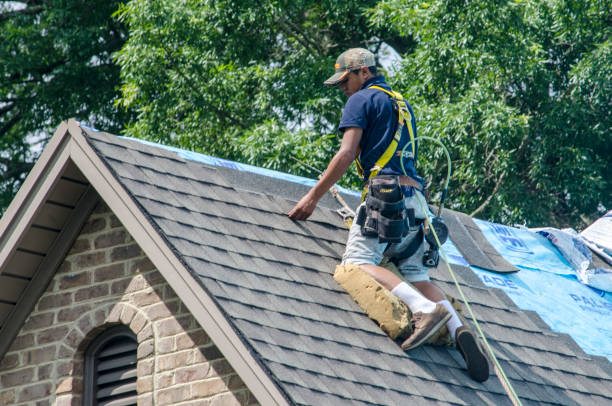 Best Shingle Roofing Installation  in Egan, LA